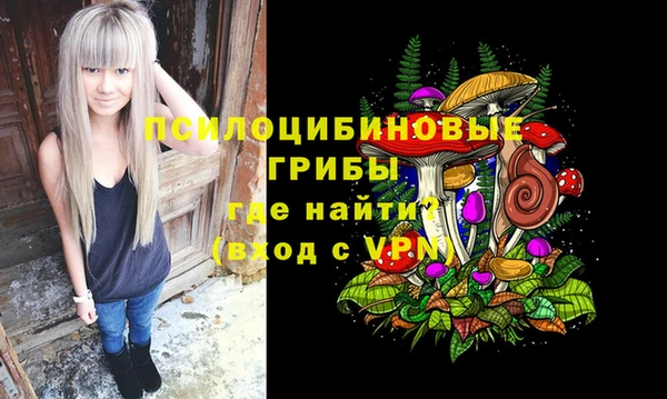 винт Магас