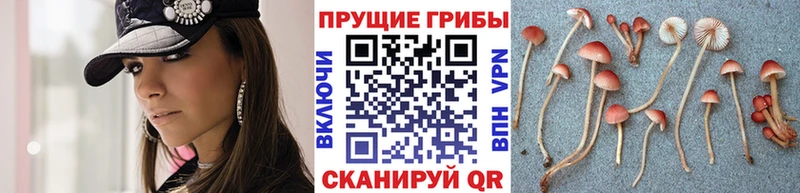 Галлюциногенные грибы прущие грибы  Купить где  Чебаркуль 